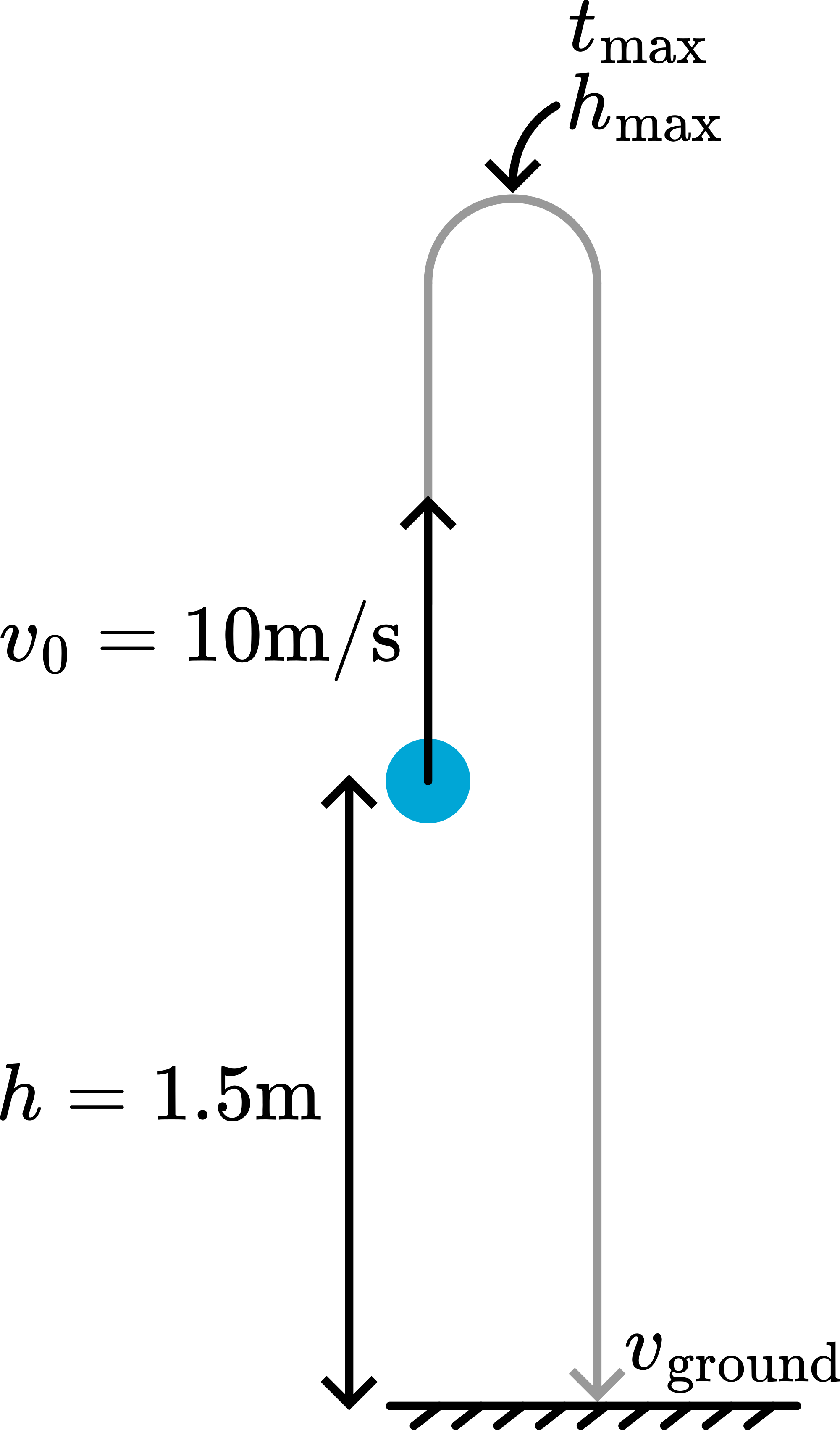 A free body diagram of the situation with all relevant quantities.