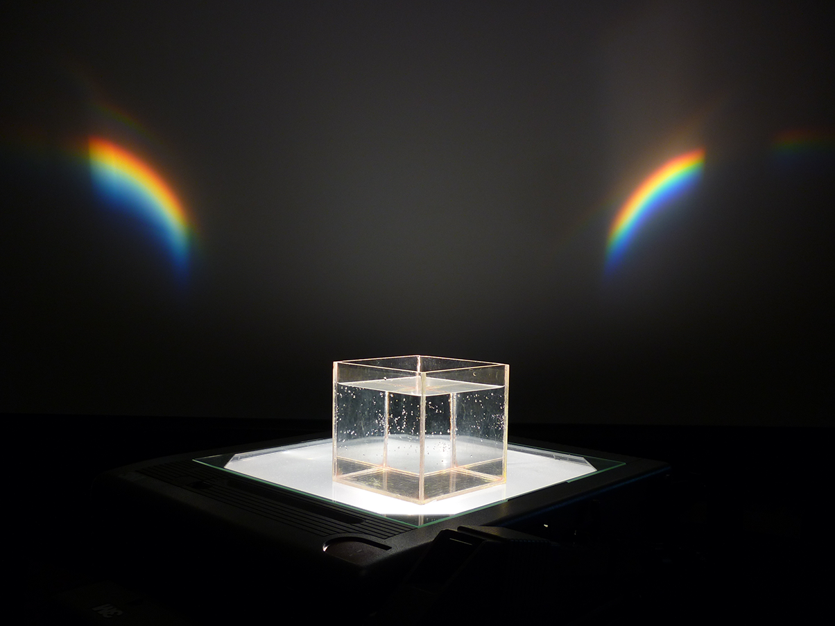 aquarium and two rainbows