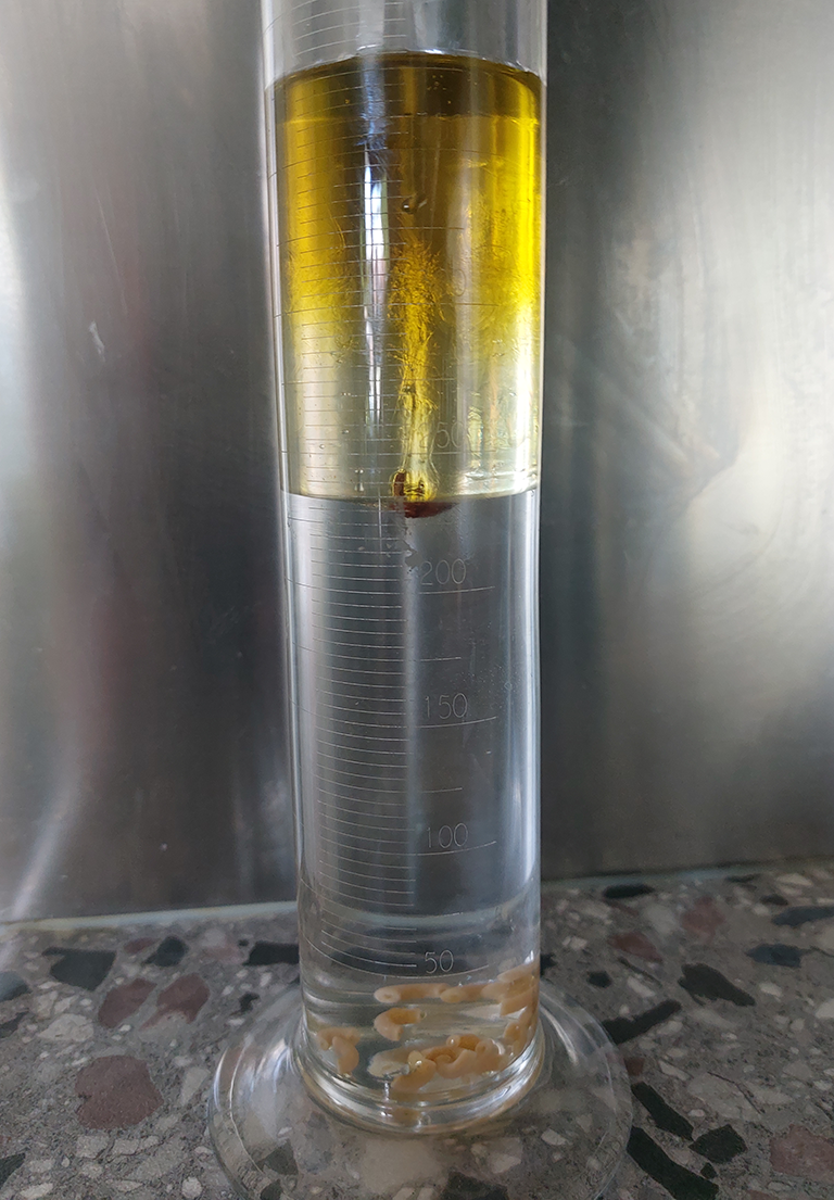 various liquids stacked in a measuring cilinder. On top olive oil, below sunflower, water at the bottom.