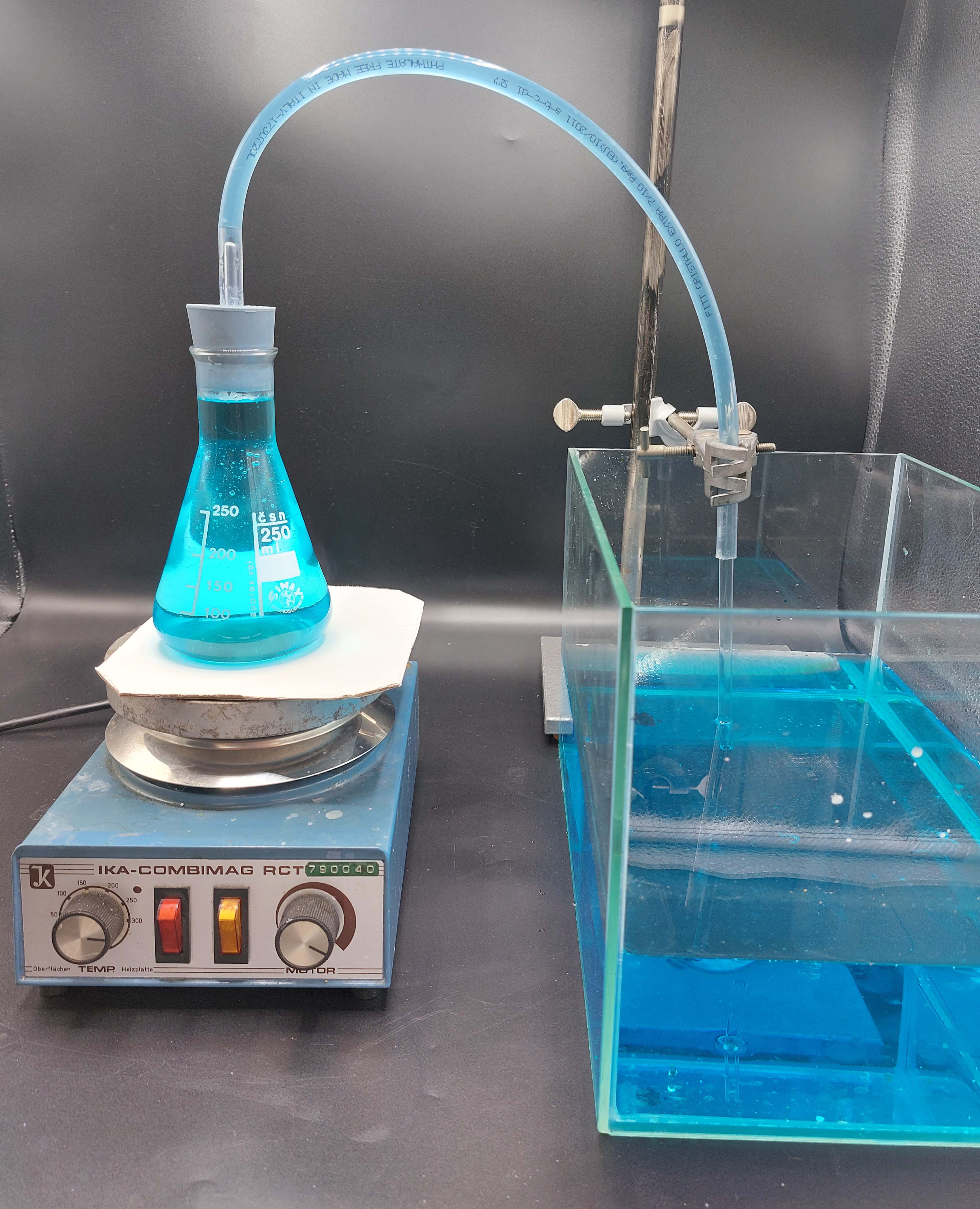 the flask is fully filled with the blue colored water from the aquarium