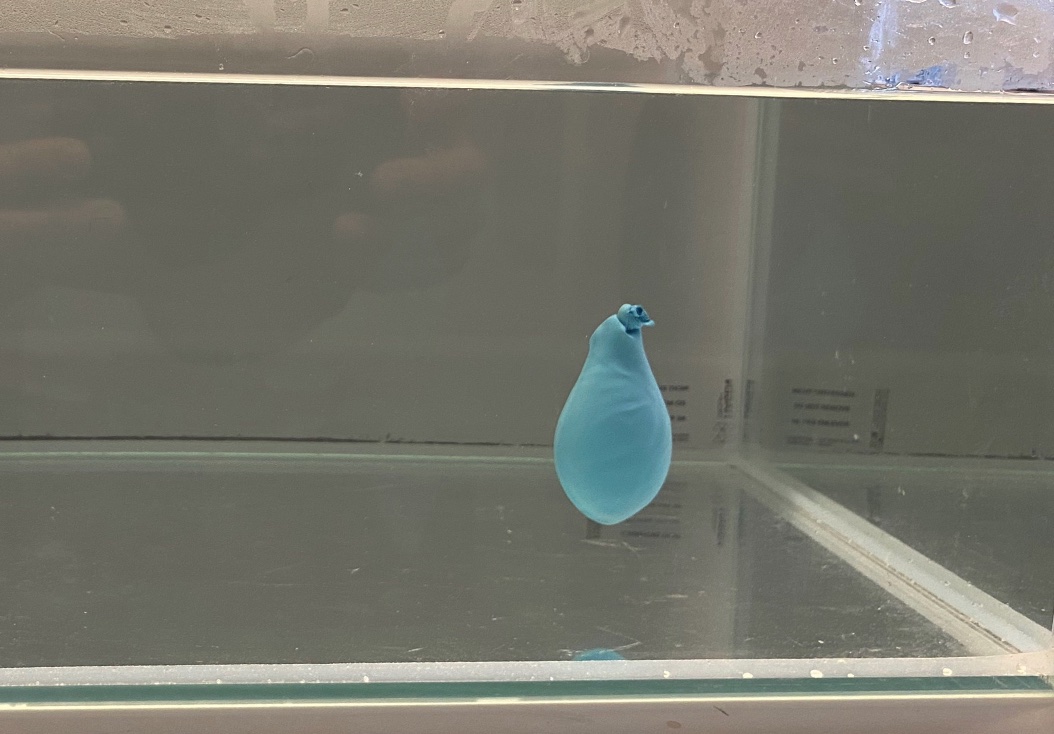 ../../_images/demo76_figure1.jpg